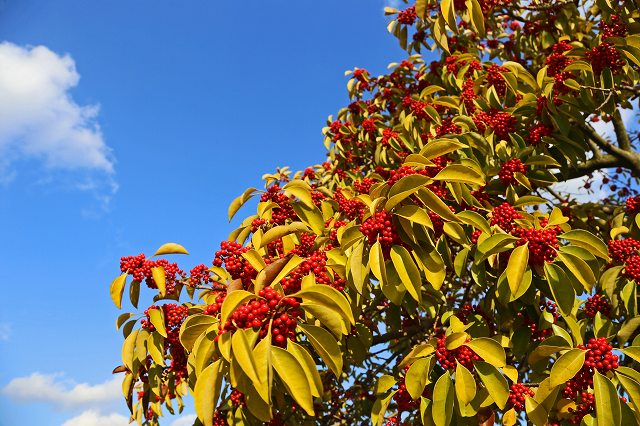 a0242438_1629675.jpg