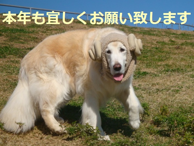 e0158841_15281569.jpg