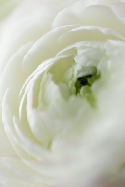 a0258549_0293177.jpg