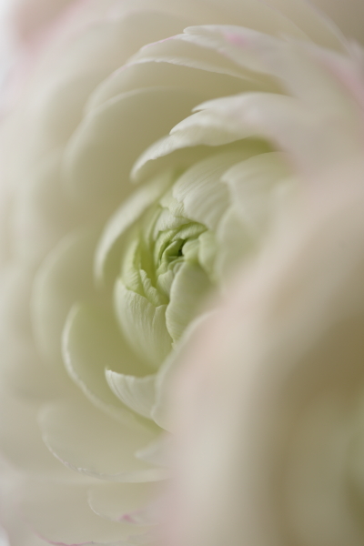 a0258549_10243758.jpg