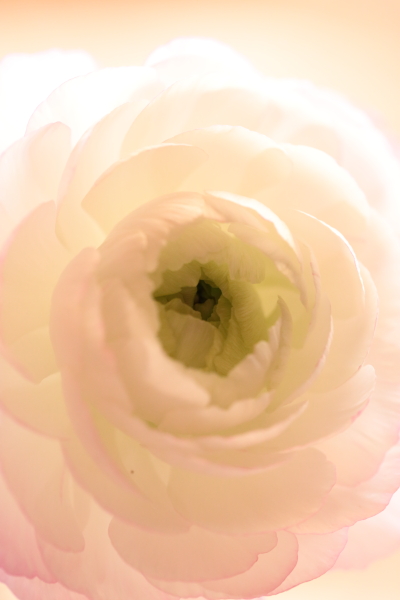 a0258549_16191361.jpg