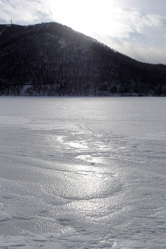 a0001354_2230987.gif