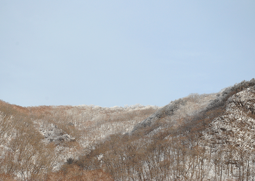a0001354_2255578.gif