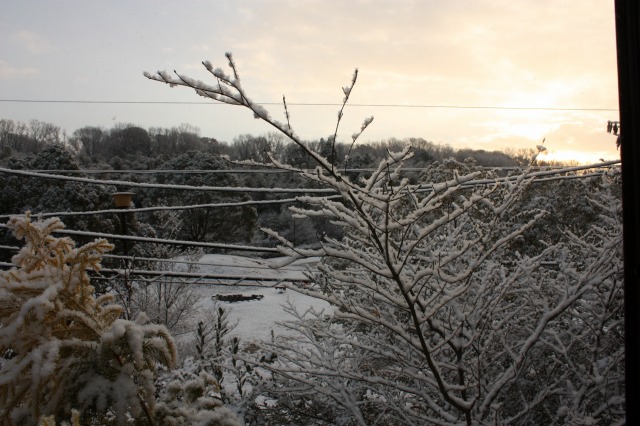 b0145366_8182765.jpg