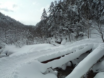 b0326303_14164163.jpg