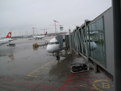 d0098022_1154867.jpg