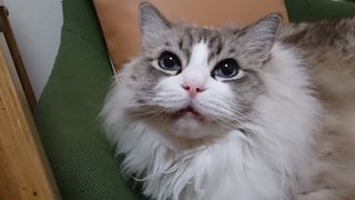 c0053625_21572940.jpg