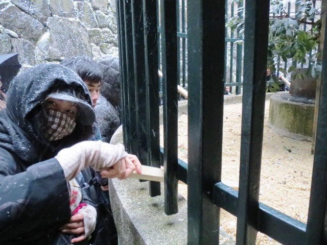 d0137326_00573.jpg