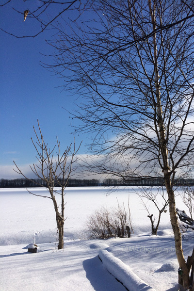 c0024729_16151554.jpg