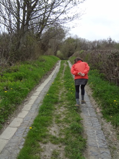 e0074833_1820057.jpg