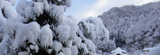 c0246034_15582210.jpg