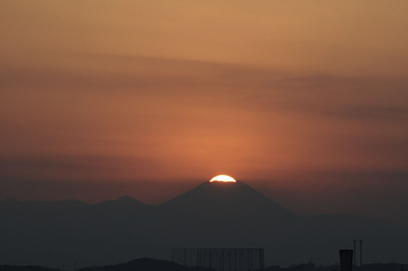 b0042837_6481686.jpg