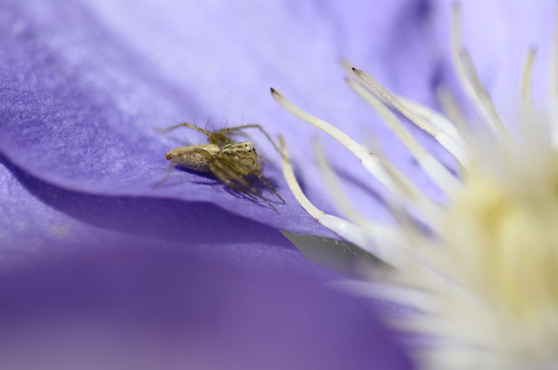 b0042837_6514651.jpg
