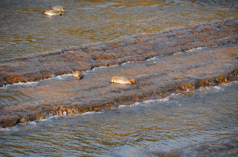 b0288942_10524980.jpg