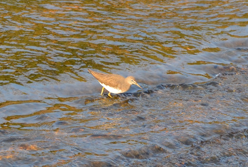b0288942_10535491.jpg