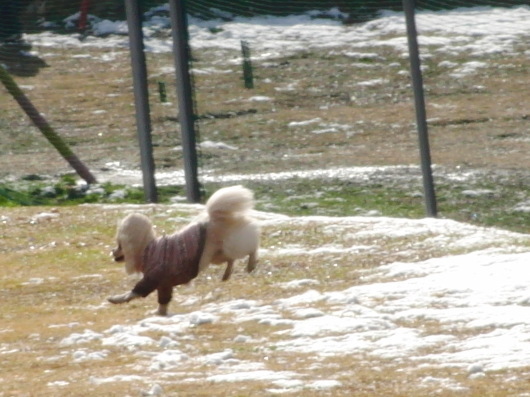 b0254548_10451000.jpg