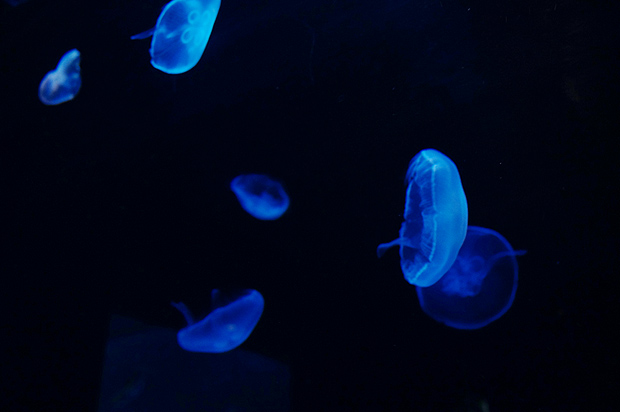f0214649_9514061.jpg
