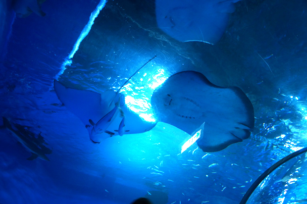 f0214649_9524100.jpg