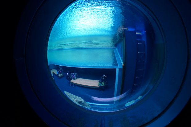 f0214649_956669.jpg