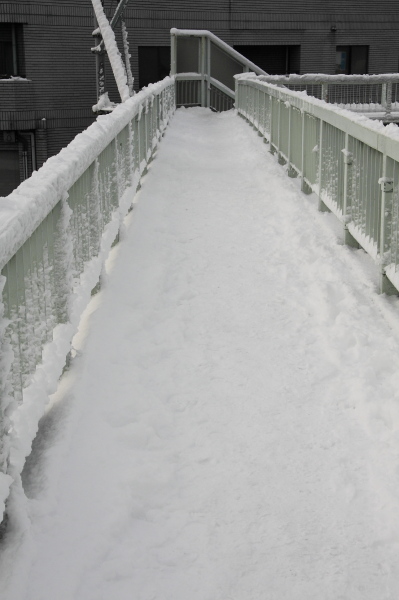a0024250_9571156.jpg