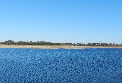 e0172950_17493647.jpg