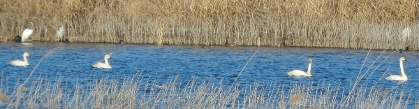 e0172950_17513423.jpg