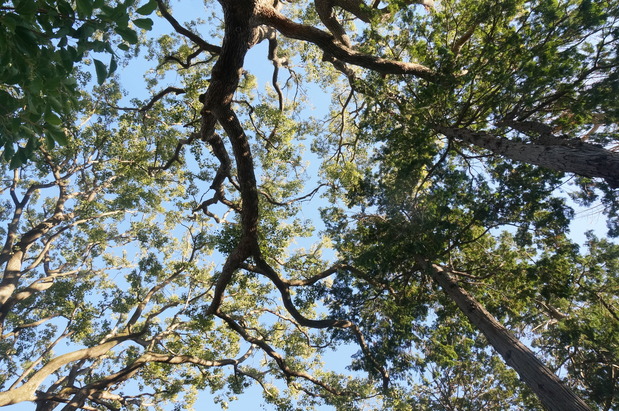 f0257756_0424474.jpg