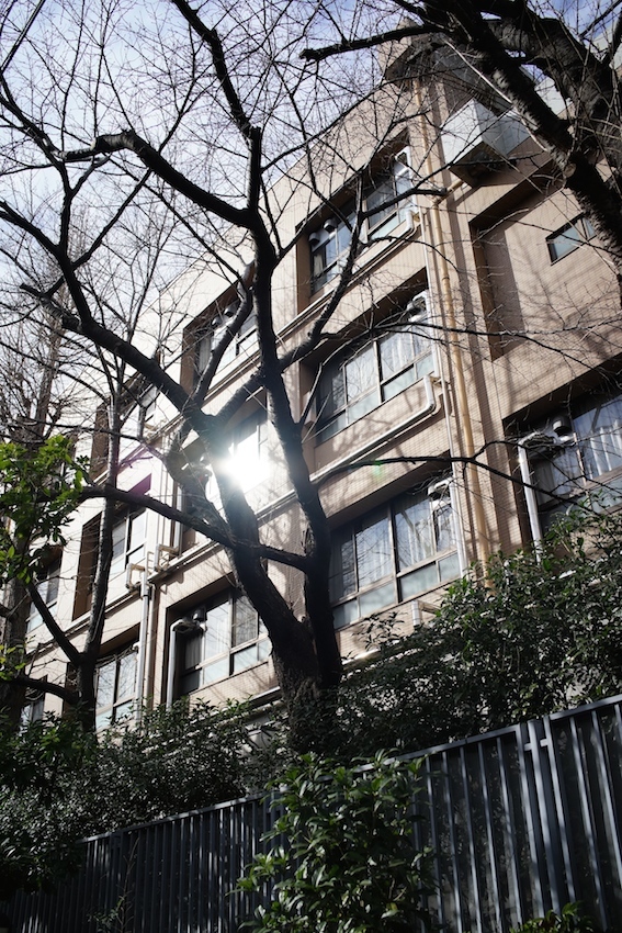 f0134963_16180743.jpg