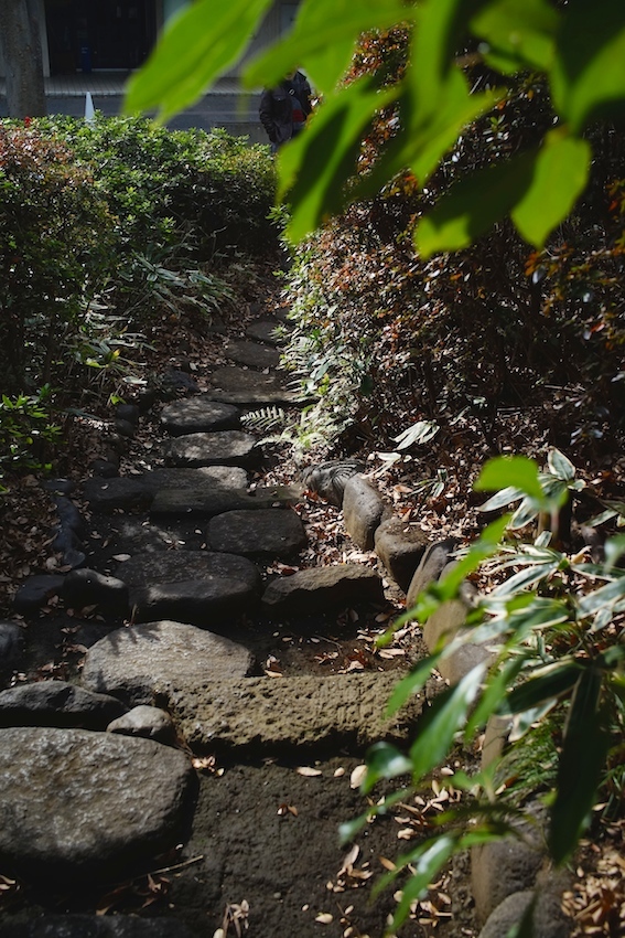 f0134963_17094974.jpg