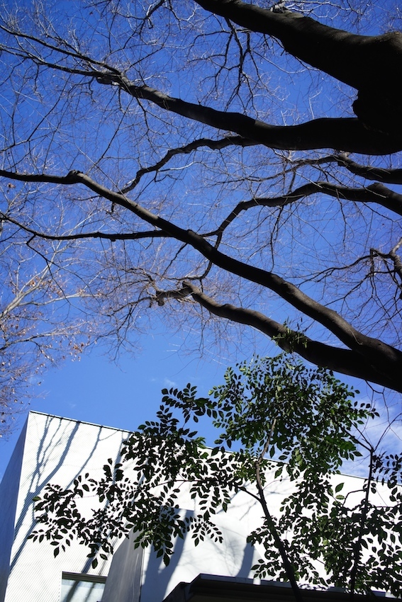 f0134963_17190332.jpg