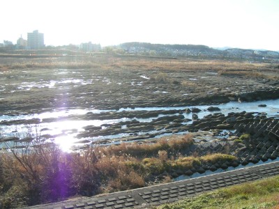 c0112172_1314264.jpg