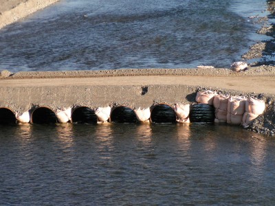c0112172_1331990.jpg