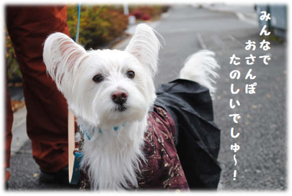 b0242873_01134095.png