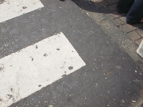 a0002177_1641521.jpg