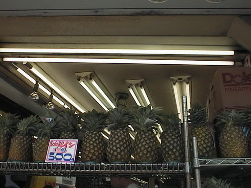 a0002177_1642043.jpg
