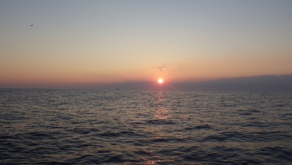 f0069890_0461567.jpg