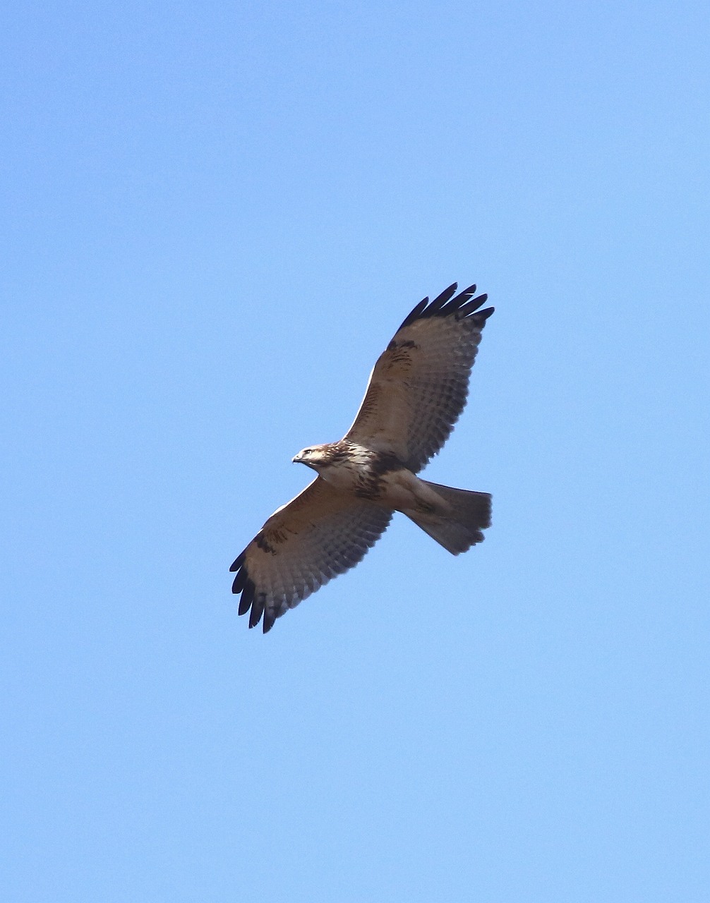 f0296999_12414474.jpg