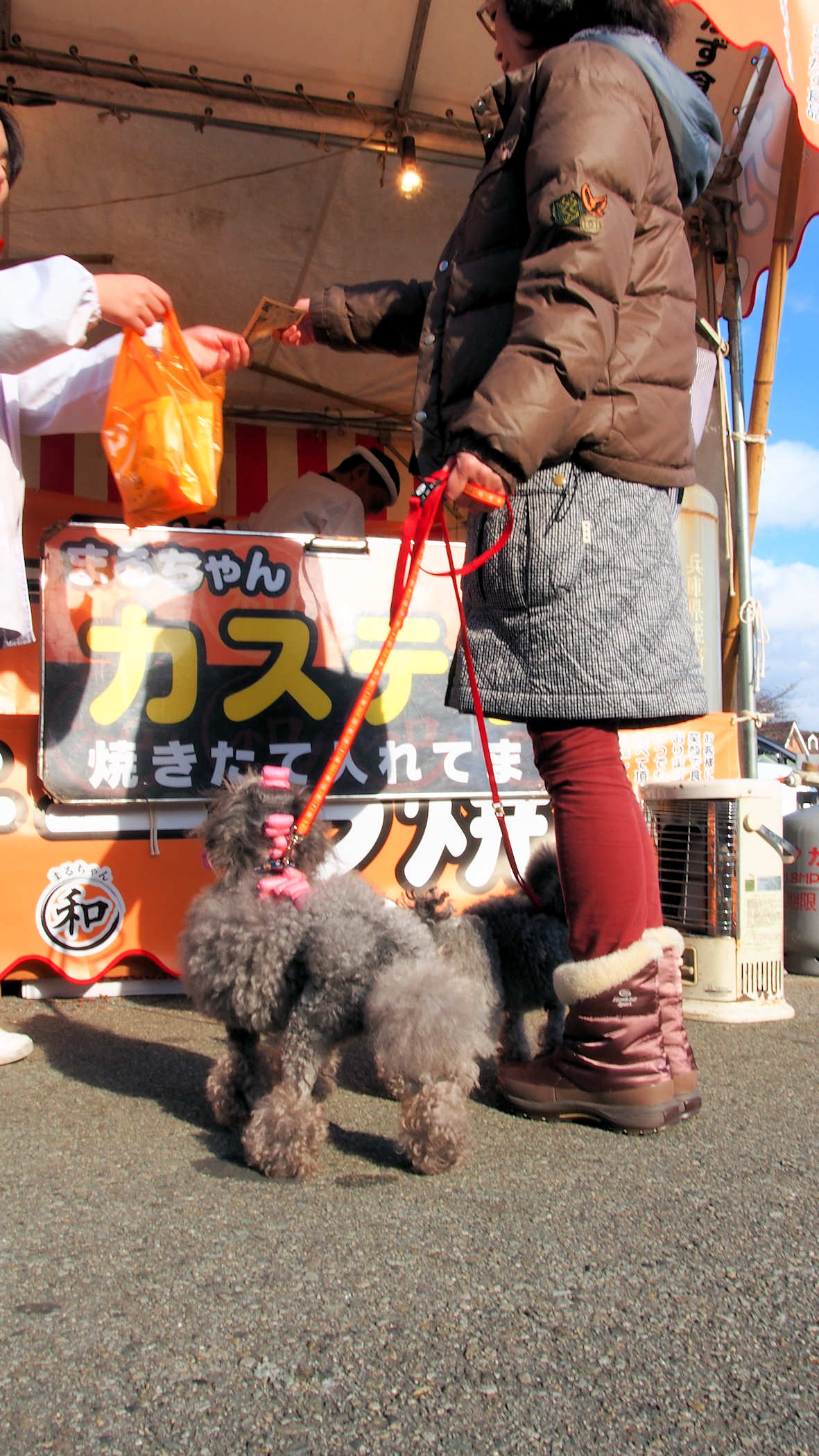 c0136419_2384316.jpg