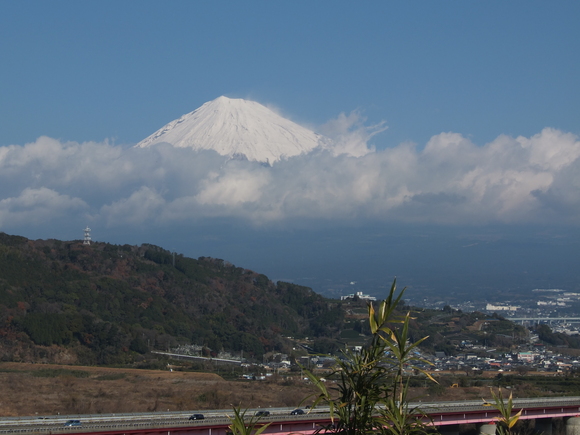 d0195623_1612731.jpg