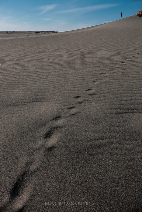 c0198227_19121124.jpg