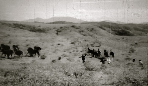 a0285828_12175020.jpg