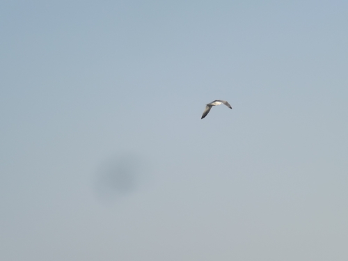 f0248337_15294199.jpg