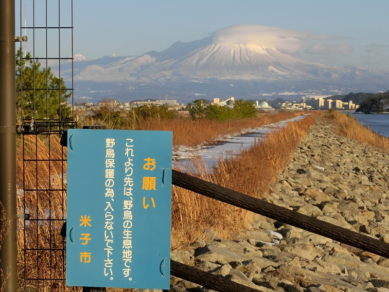b0029438_1164547.jpg