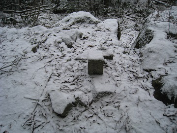 c0077338_213350100.jpg