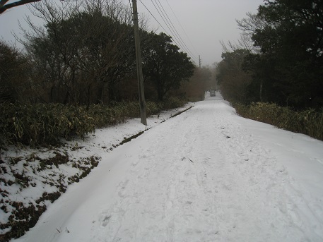 c0077338_21401399.jpg