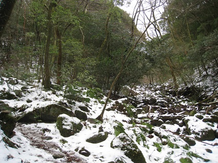 c0077338_2140228.jpg