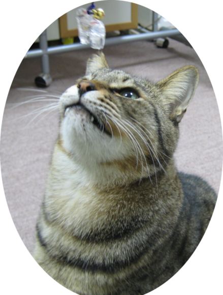f0247039_2024269.png