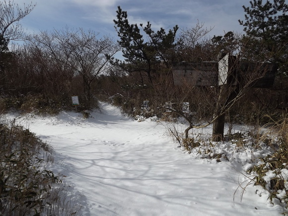 a0206345_1027594.jpg
