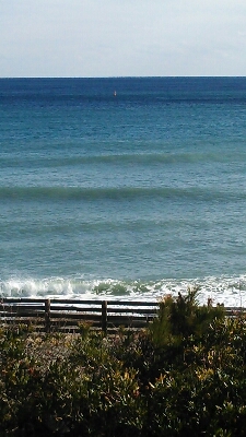 f0177745_8123519.jpg