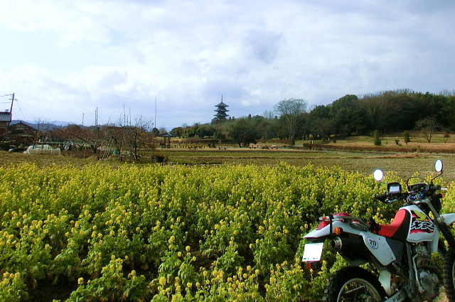 c0339546_18472153.jpg